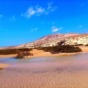 https://spirit-of-costa-calma.in-canary-islands.com